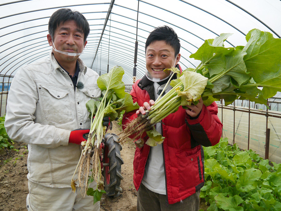 ゆうき農園の八尾若ごぼう 産直市場よってって羽曳野店